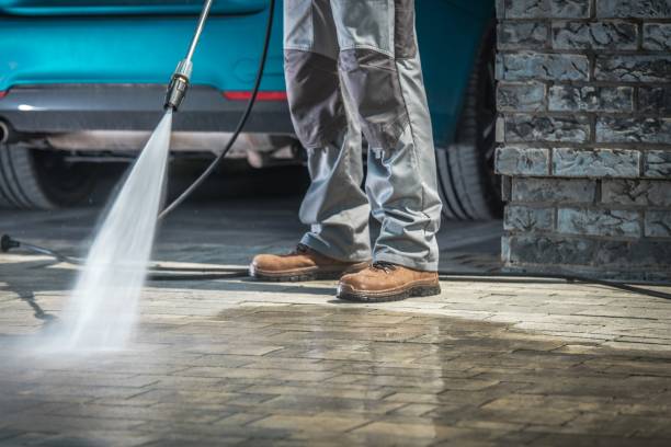 Best Winterizing Services  in Palm Shores, FL