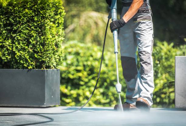 Best Graffiti Removal  in Palm Shores, FL