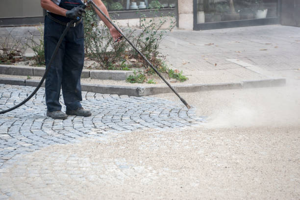 Best Spring Cleaning  in Palm Shores, FL