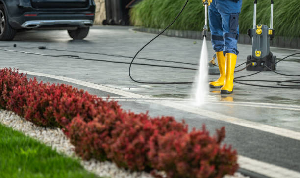 Best Solar Panel Cleaning  in Palm Shores, FL